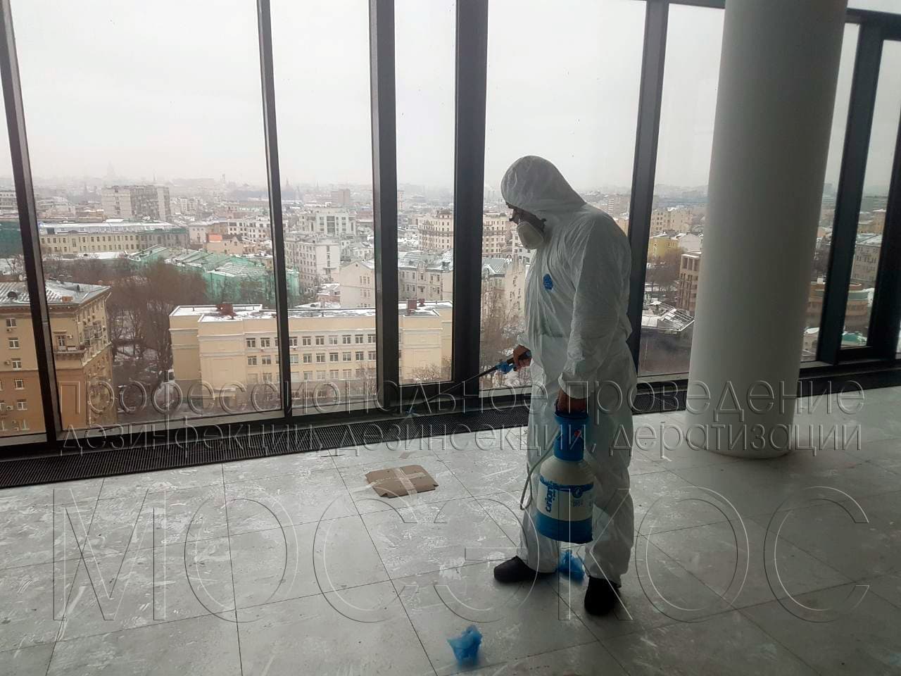 Обработка от тараканов в квартире в Пушкино