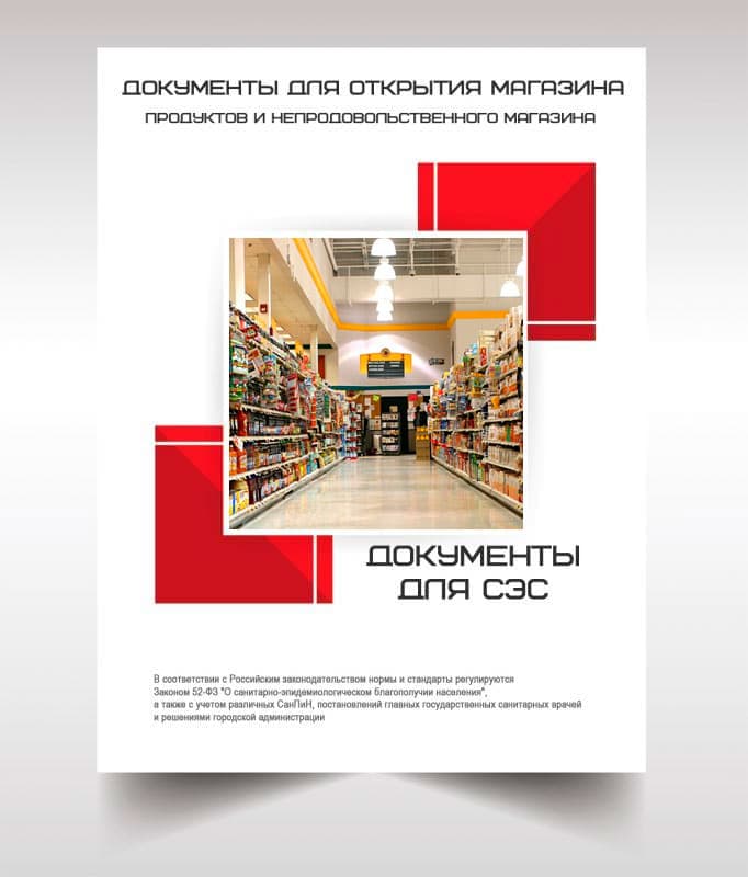 Документы для открытия магазина в Пушкино