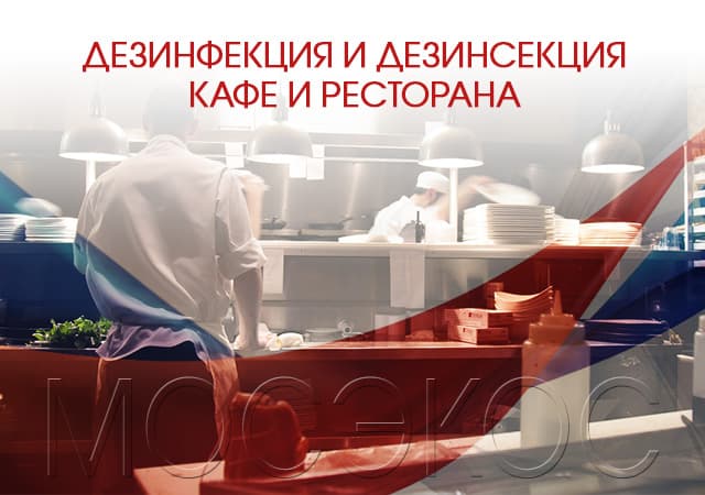 Дезинсекция предприятия общественного питания в Пушкино